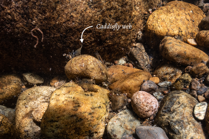 Danger! Stop Stacking Rocks In New York State Parks!