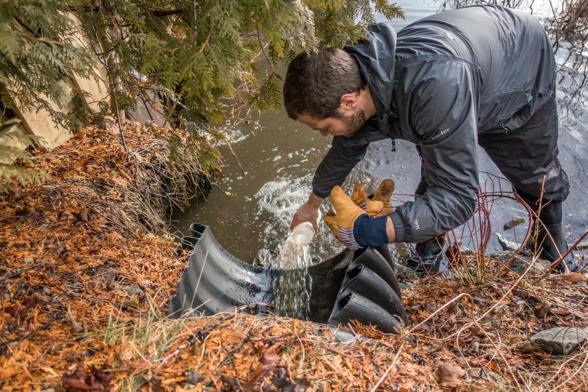 Outfall Sampling Mirror Lake | Ausable River Association
