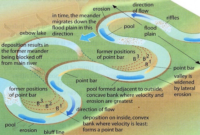 Means (SEs) of stream physical characteristics outside (grazed