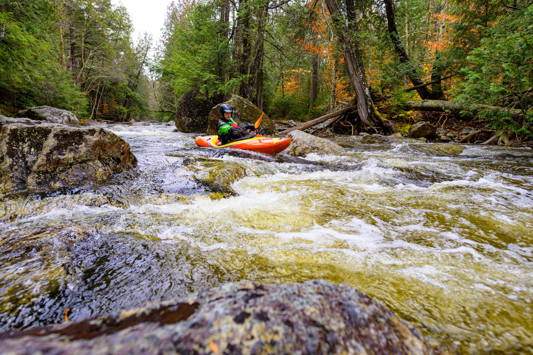 whitewater kayaker paddling down small stream in fall