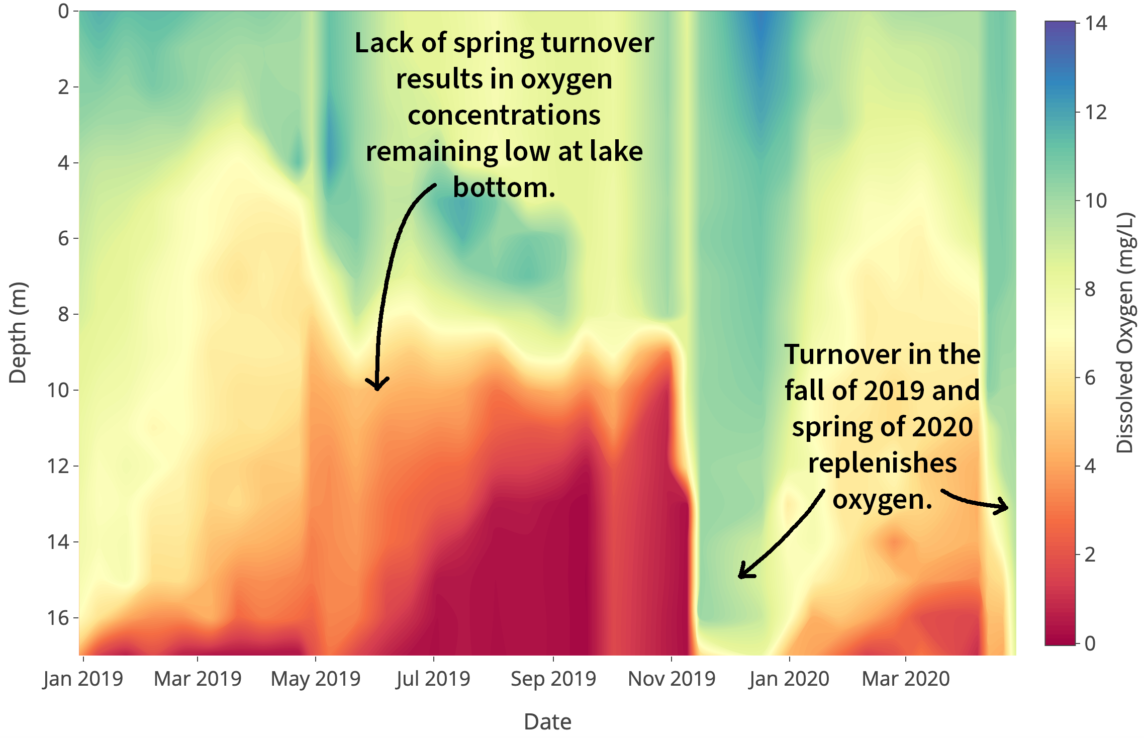 Figure of dissolved oxygen concentrations in Mirror Lake.