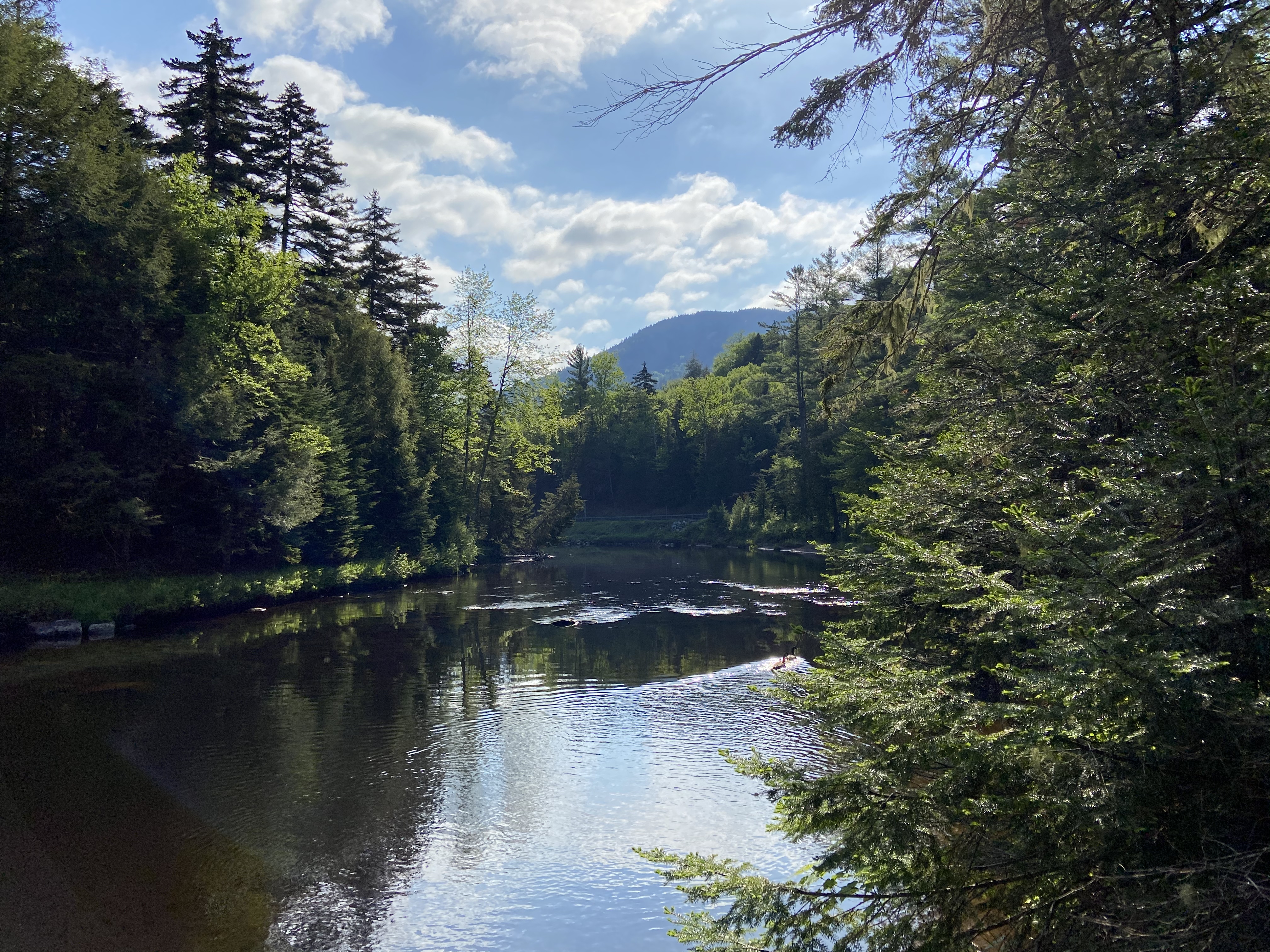 West Branch Ausable River, early summer