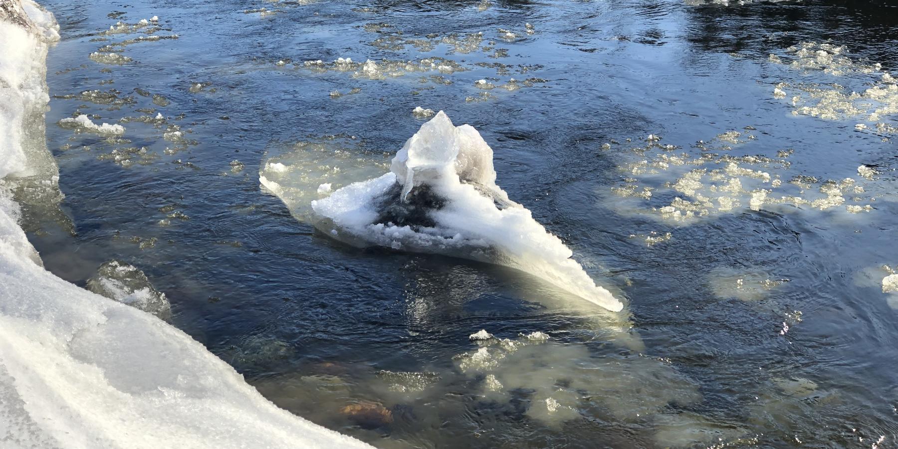 How Do Ice Jams Form? Ausable Freshwater Center
