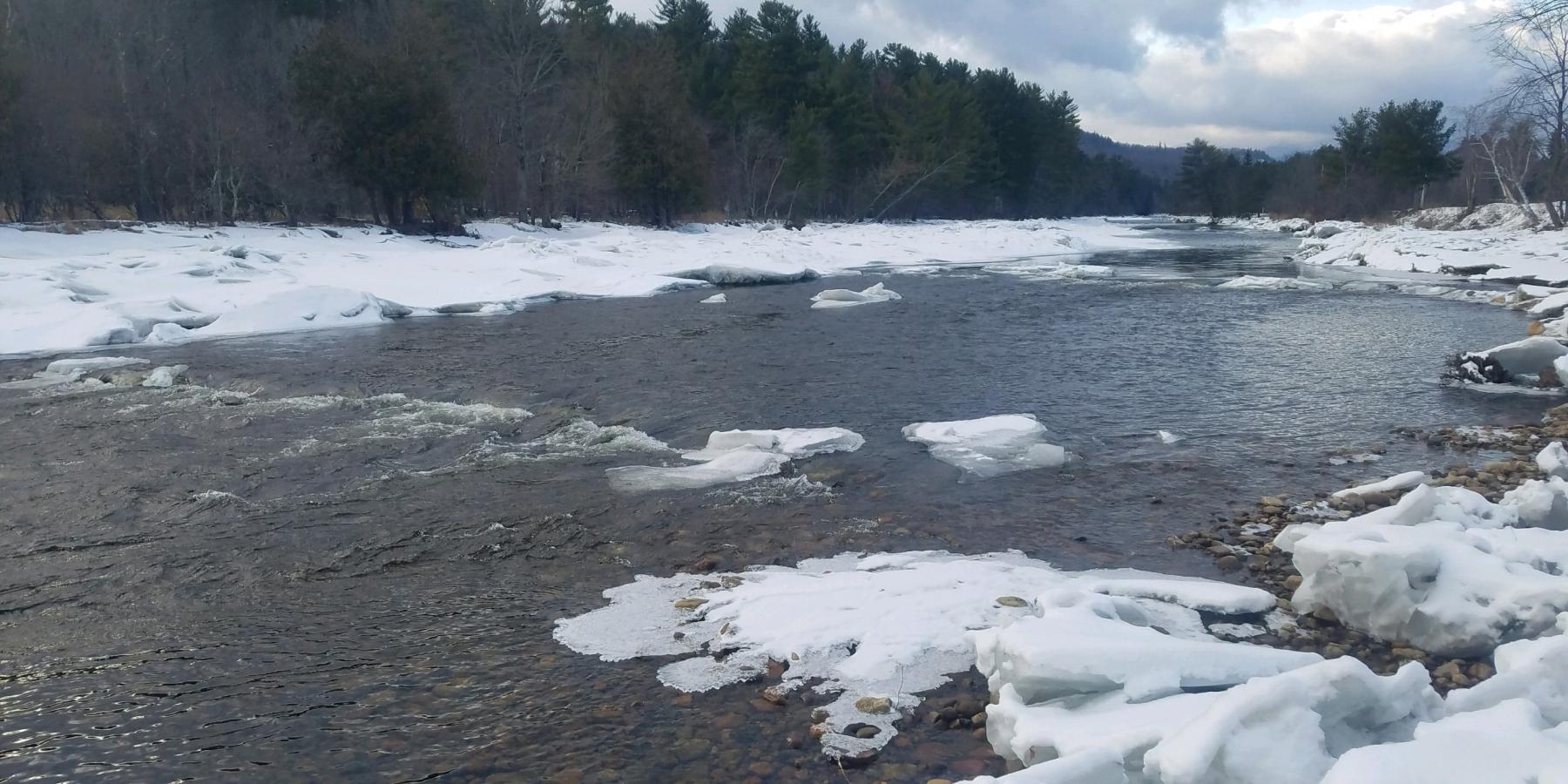 How Do Fish Survive Winter in Rivers and Streams? Ausable Freshwater