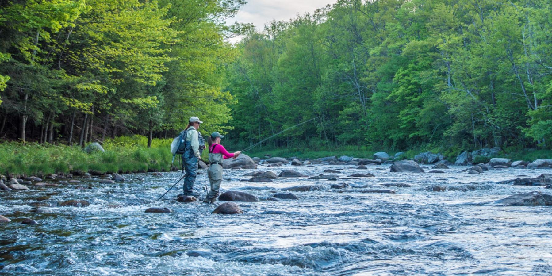 River Steward Ausable Freshwater Center