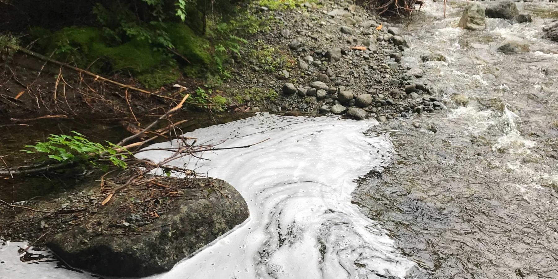 What Causes Foam on Rivers? Ausable Freshwater Center