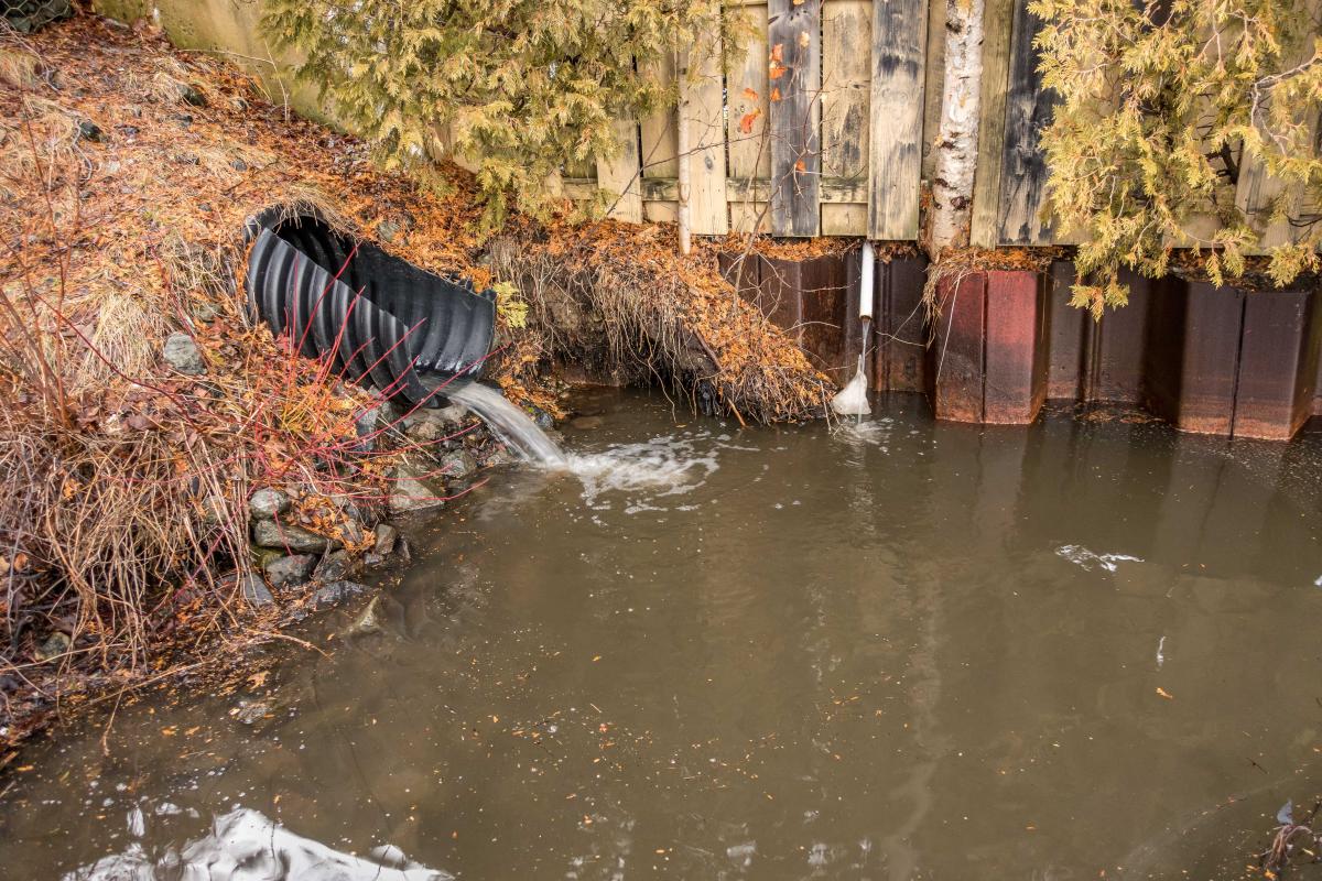 Mirror Lake Stormwater Outfall