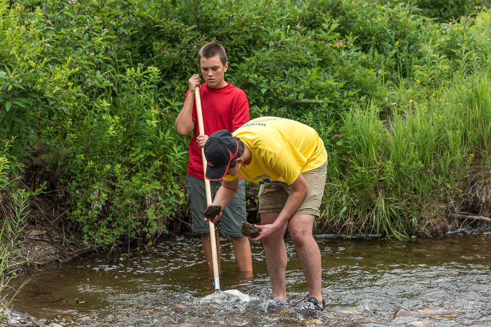 Aquatic macroinvertebrates 