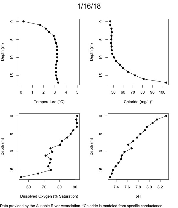 Mirror Lake Water Quality Profiles