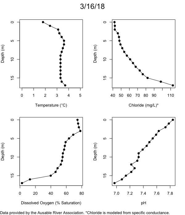 Mirror Lake Water Quality Profiles