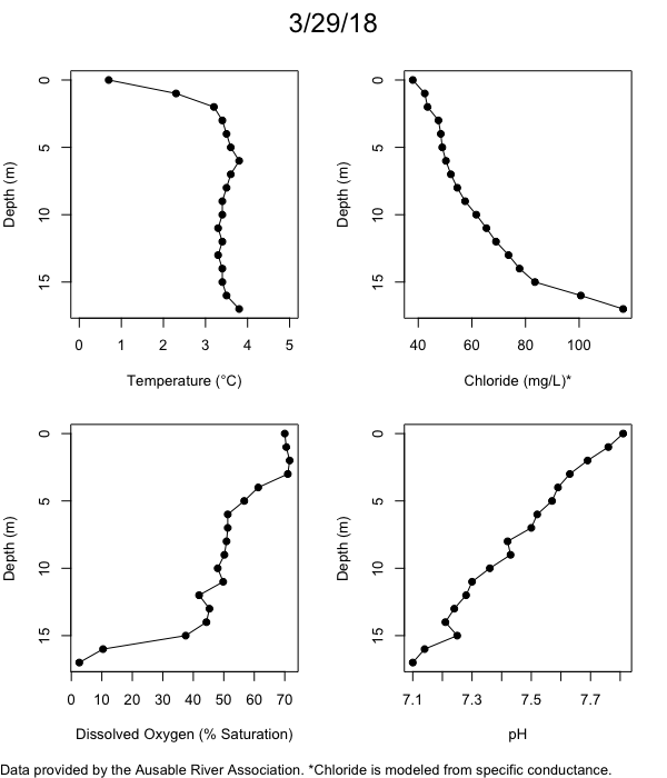 Mirror Lake Water Quality Profiles