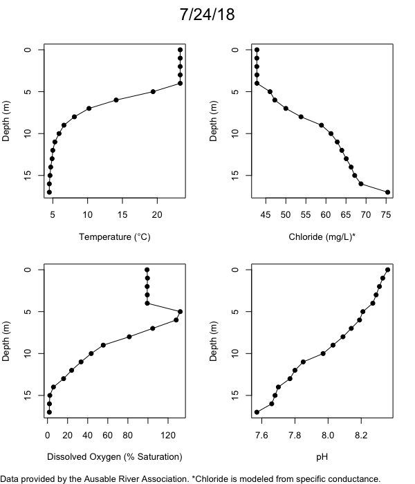 Mirror Lake Water Quality Profiles