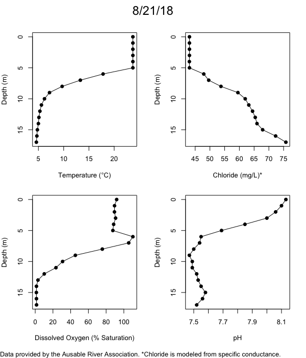 Mirror Lake Water Quality Profiles