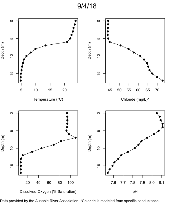 Mirror Lake Water Quality Profiles