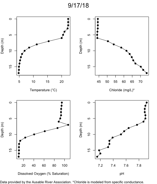 Mirror Lake Water Quality Profiles