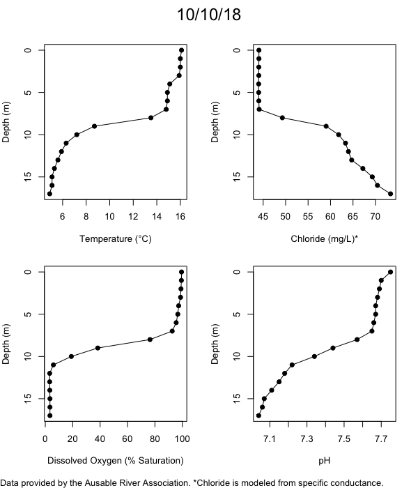 Mirror Lake Water Quality Profiles