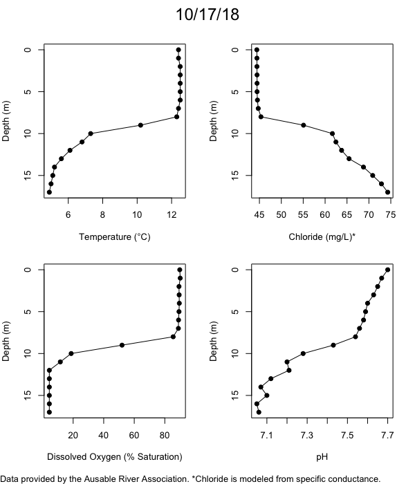 Mirror Lake Water Quality Profiles