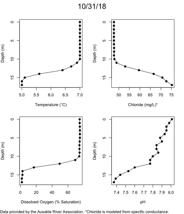 Mirror Lake Water Quality Profiles