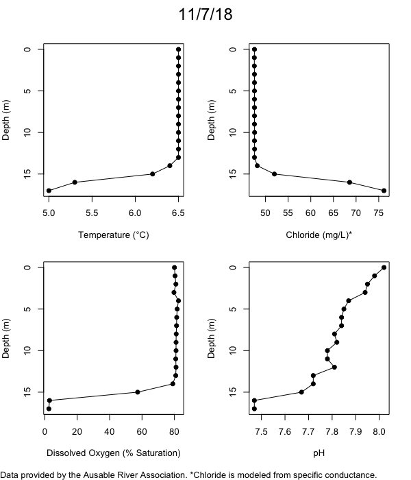 Mirror Lake Water Quality Profiles