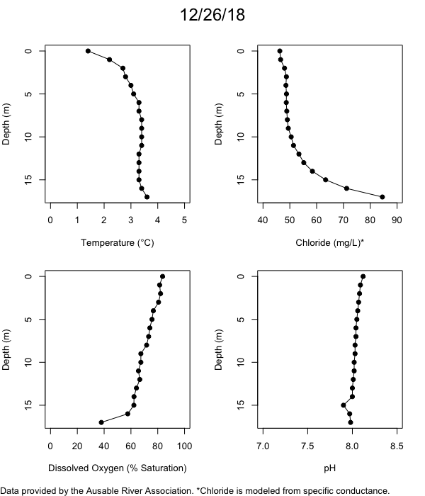 Mirror Lake Water Quality Profiles