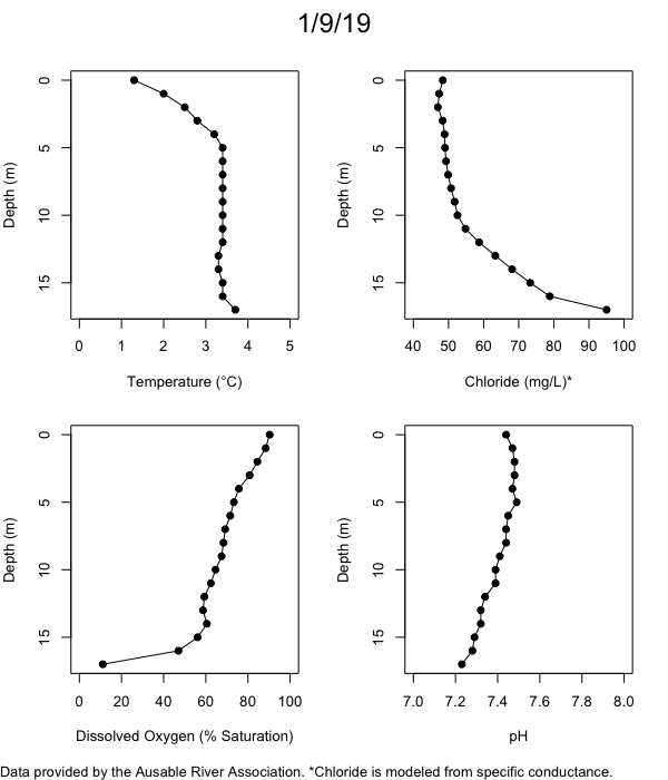 Mirror Lake Water Quality Profiles