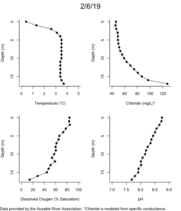 Mirror Lake Water Quality Profiles