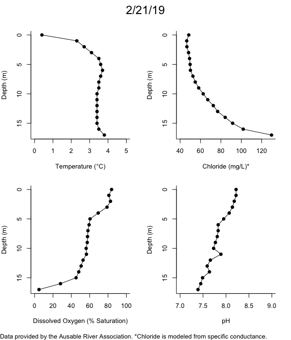 Mirror Lake Water Quality Profiles