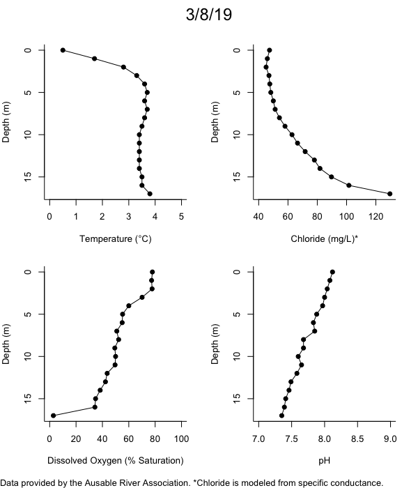 Mirror Lake Water Quality Profiles