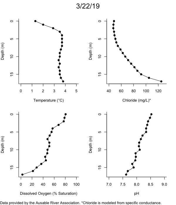 Mirror Lake Water Quality Profiles