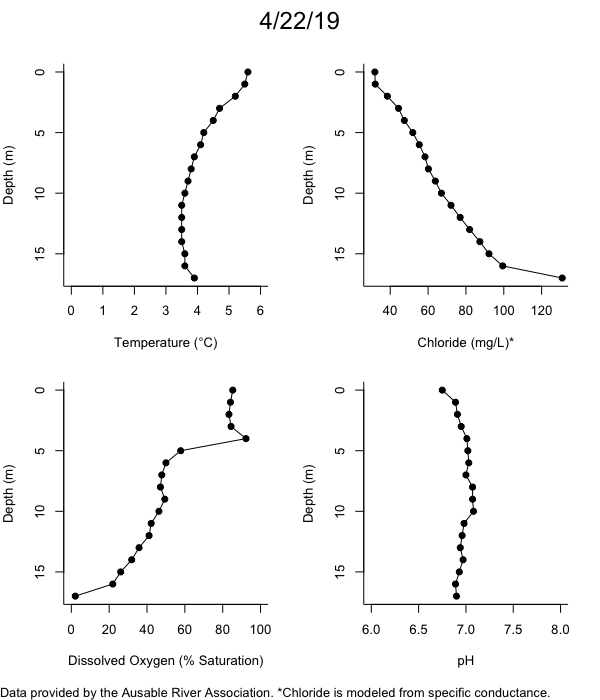 Mirror Lake Water Quality Profiles