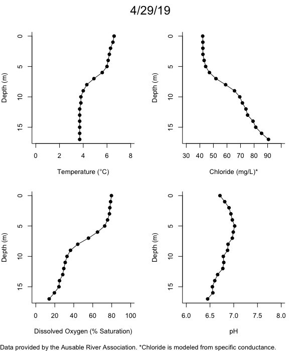 Mirror Lake Water Quality Profiles