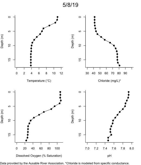 Mirror Lake Water Quality Profiles