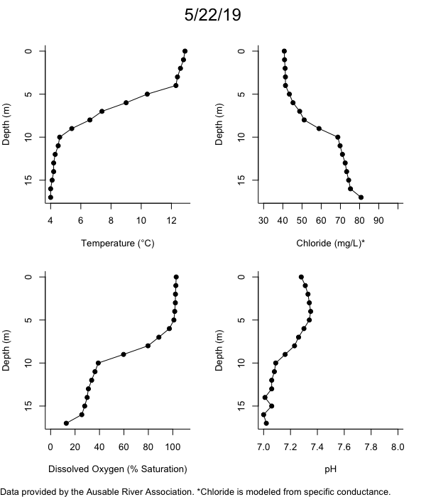 Mirror Lake Water Quality Profiles