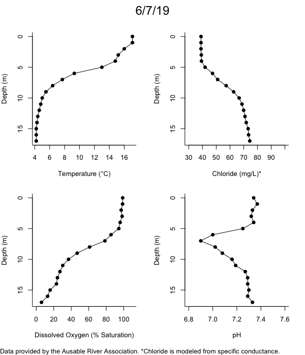 Mirror Lake Water Quality Profiles