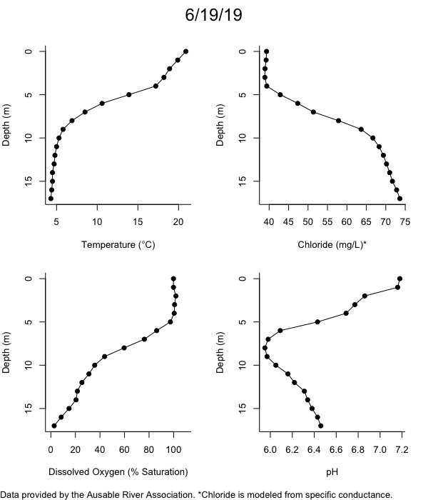 Mirror Lake Water Quality Profiles