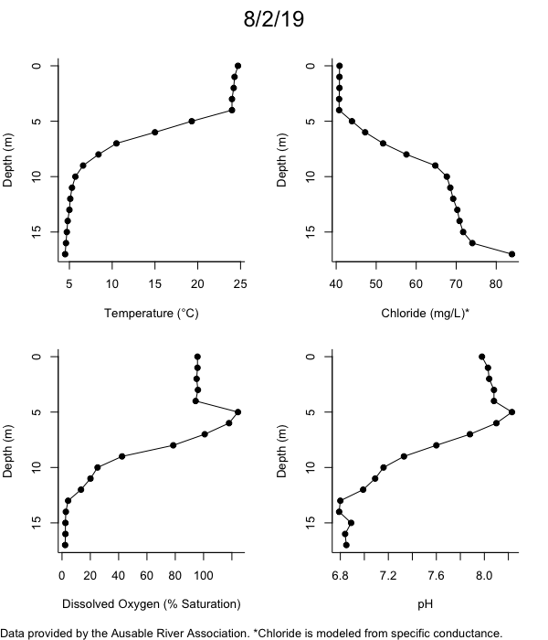 Mirror Lake Water Quality Profiles