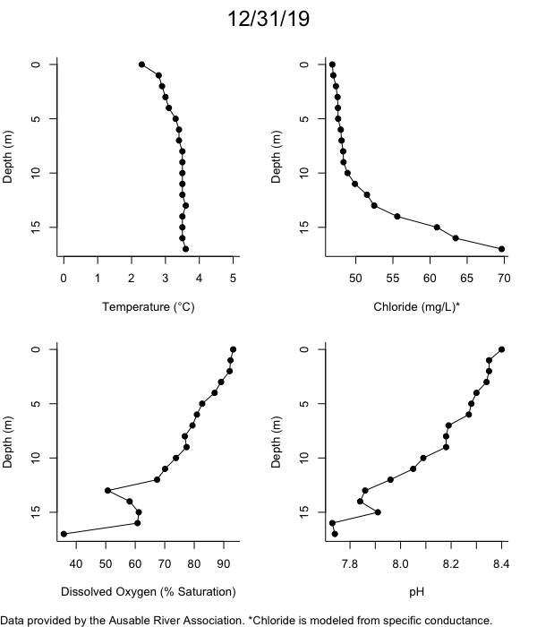 Mirror Lake Water Quality Profiles