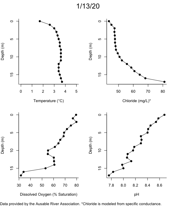 Mirror Lake Water Quality Profiles