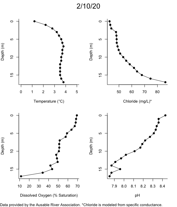 Mirror Lake Water Quality Profiles