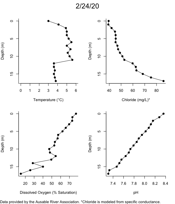 Mirror Lake Water Quality Profiles