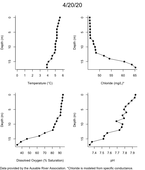 Mirror Lake Water Quality Profiles