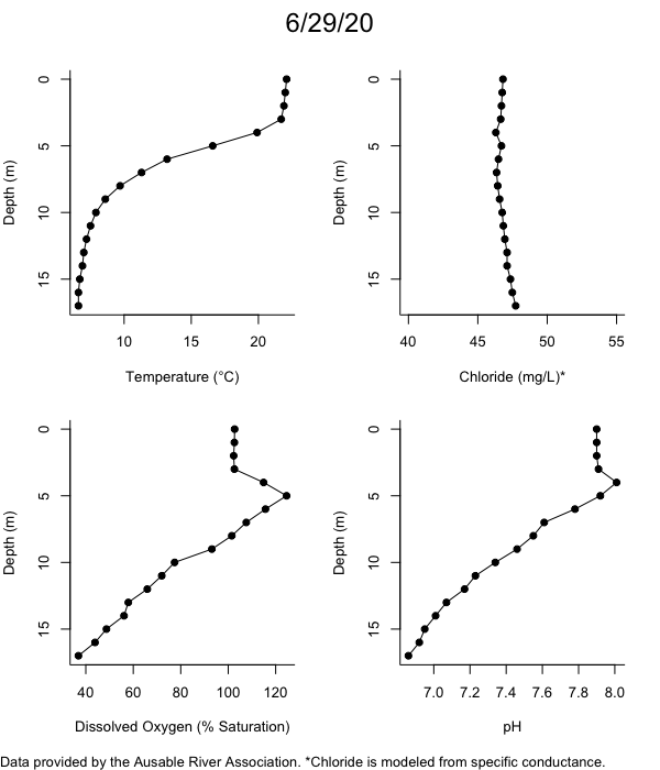 Mirror Lake Water Quality Profiles