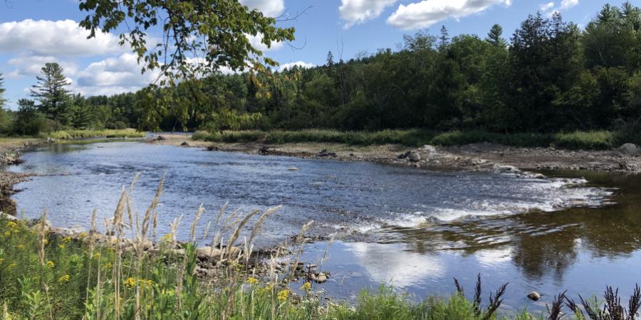 view looking downstream into a river with trees along bank