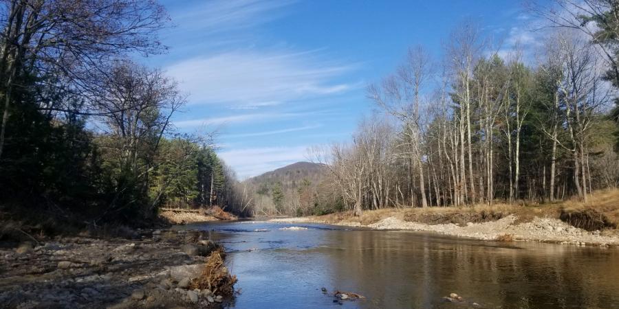 river during autumn with leafless trees along shore and blue sky in background