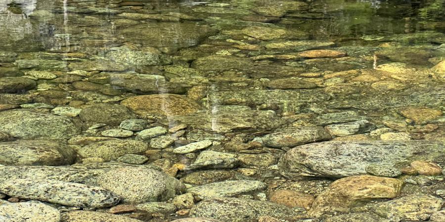 Water in a stream