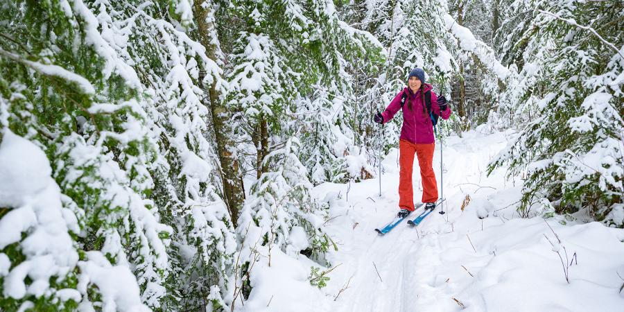 Woman in brightly colored clothing cross country skiing through snowy forest