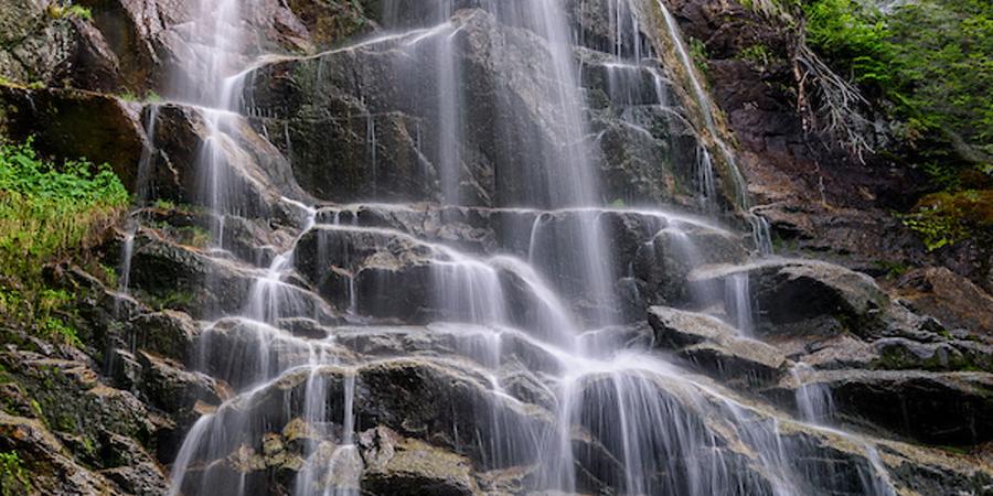 Beaver Meadow Falls AMR