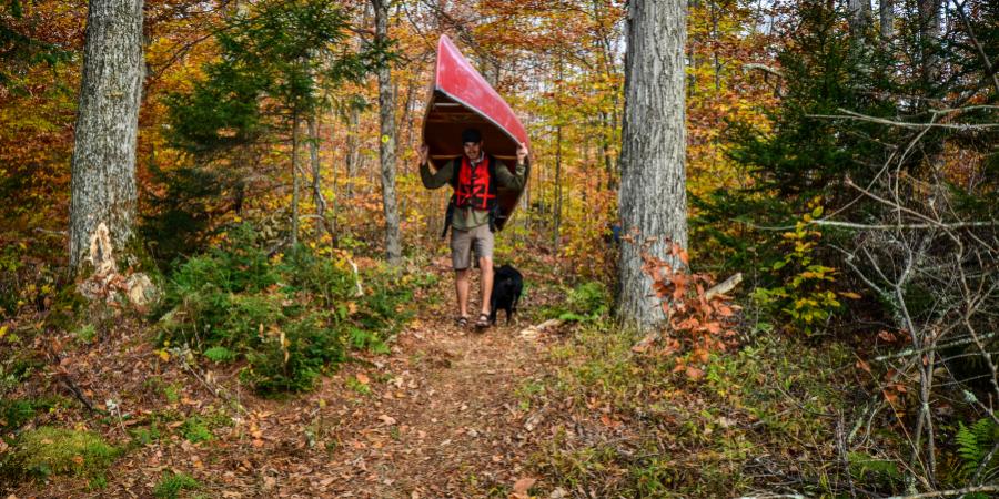 Person carrying a red canoe through an autumn-colored forest.