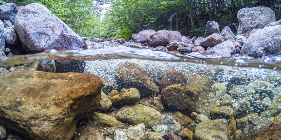 half underwater half above water photo of clear stream in summer