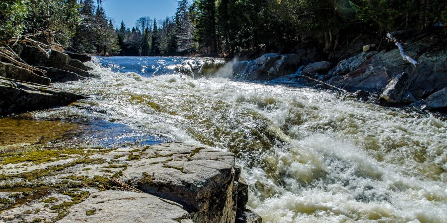 flood water on a river in the spring